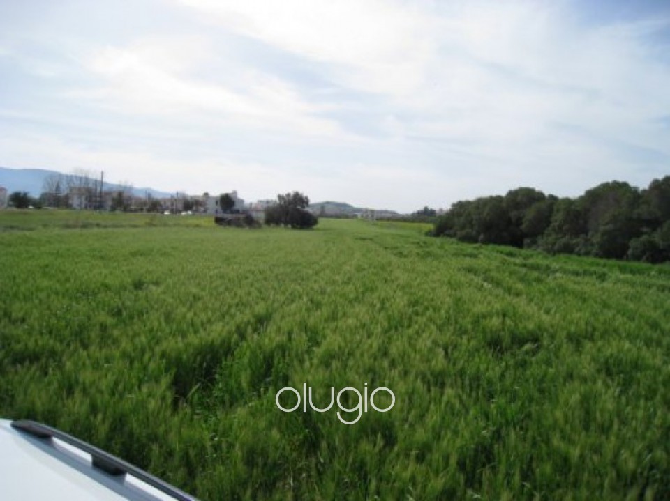 Plot in Latchi, Polis, Paphos