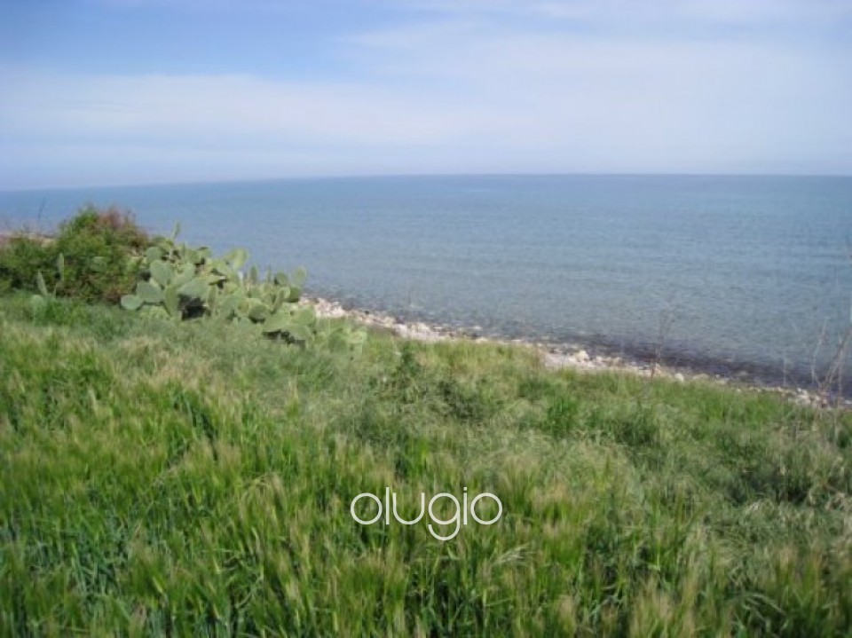 Plot in Latchi, Polis, Paphos