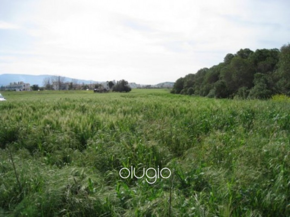 Plot in Latchi, Polis, Paphos