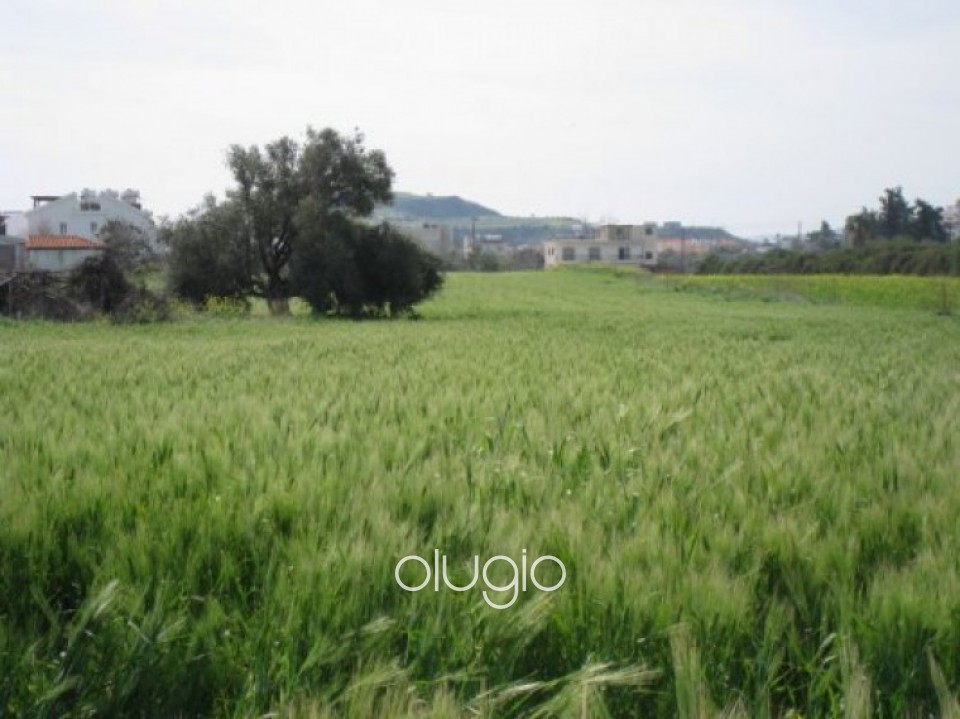 Plot in Latchi, Polis, Paphos