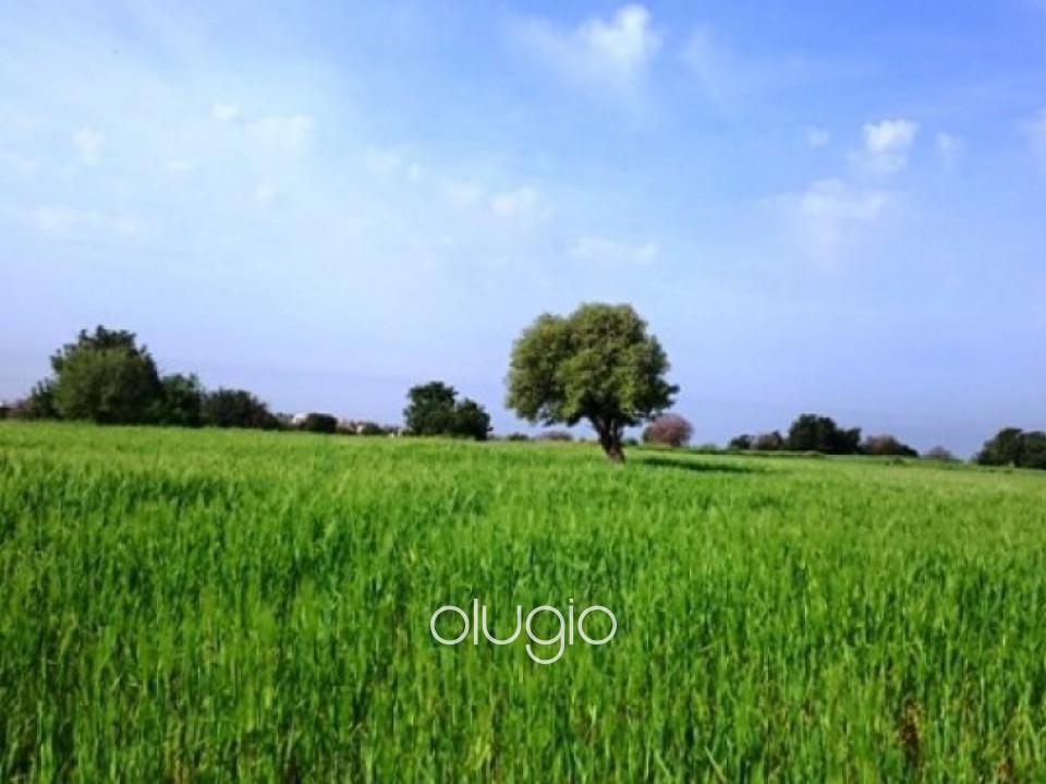 For Sale Plot of Land in Tremithousa, Paphos