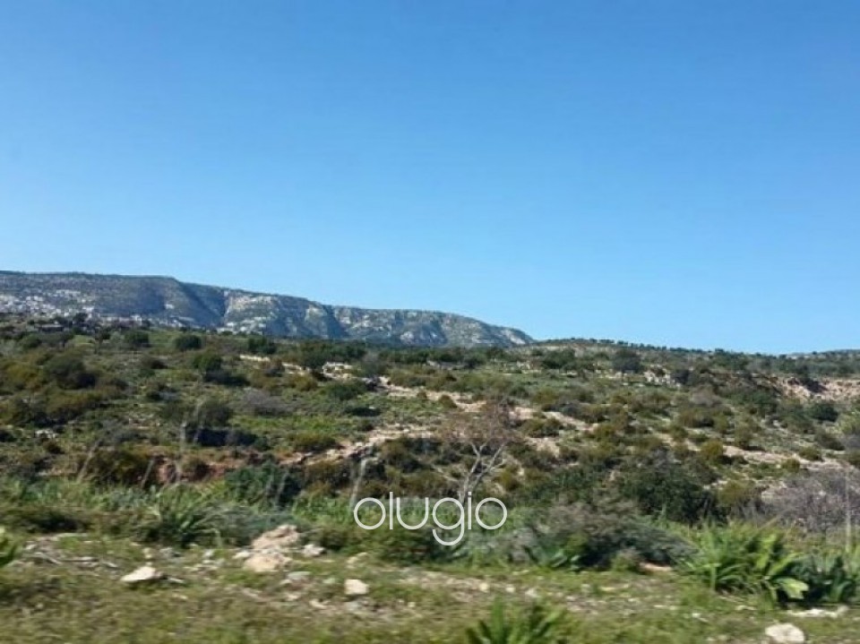 Big plot of land for sale in Pegia Area