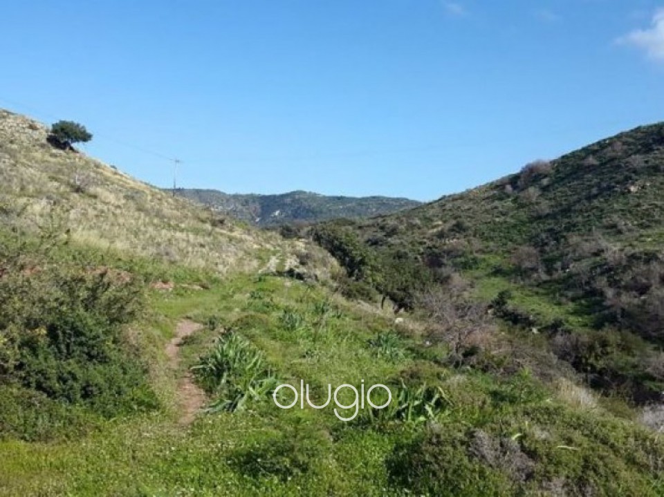 Big plot of land for sale in Pegia Area