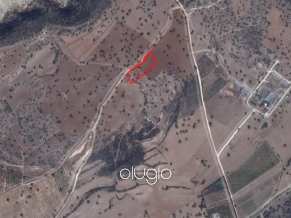 Large 13,280m2 land for sale in Kouklia/Souskou village, Paphos