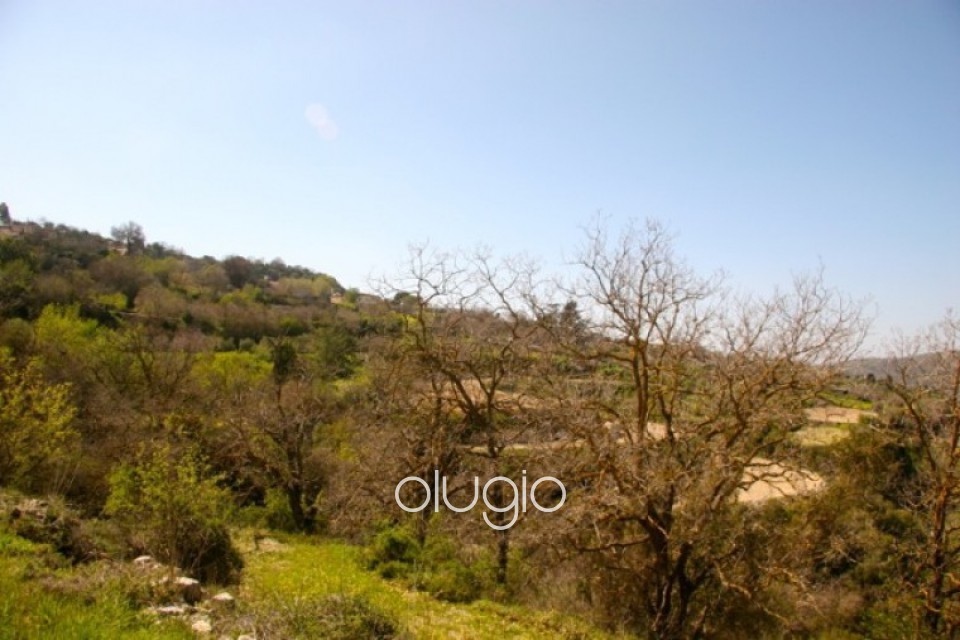Residential Land  For Sale  in  Koili