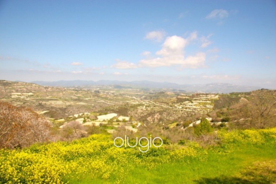 Residential Land  For Sale  in  Koili