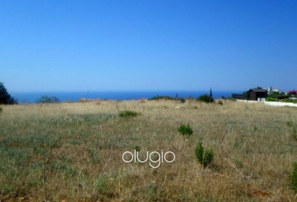 Residential Land  For Sale  in  Acheleia