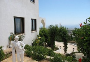 Side Garden